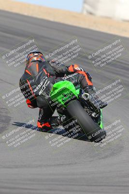 media/Feb-04-2023-SoCal Trackdays (Sat) [[8a776bf2c3]]/Turn 10 Backside (1010am)/